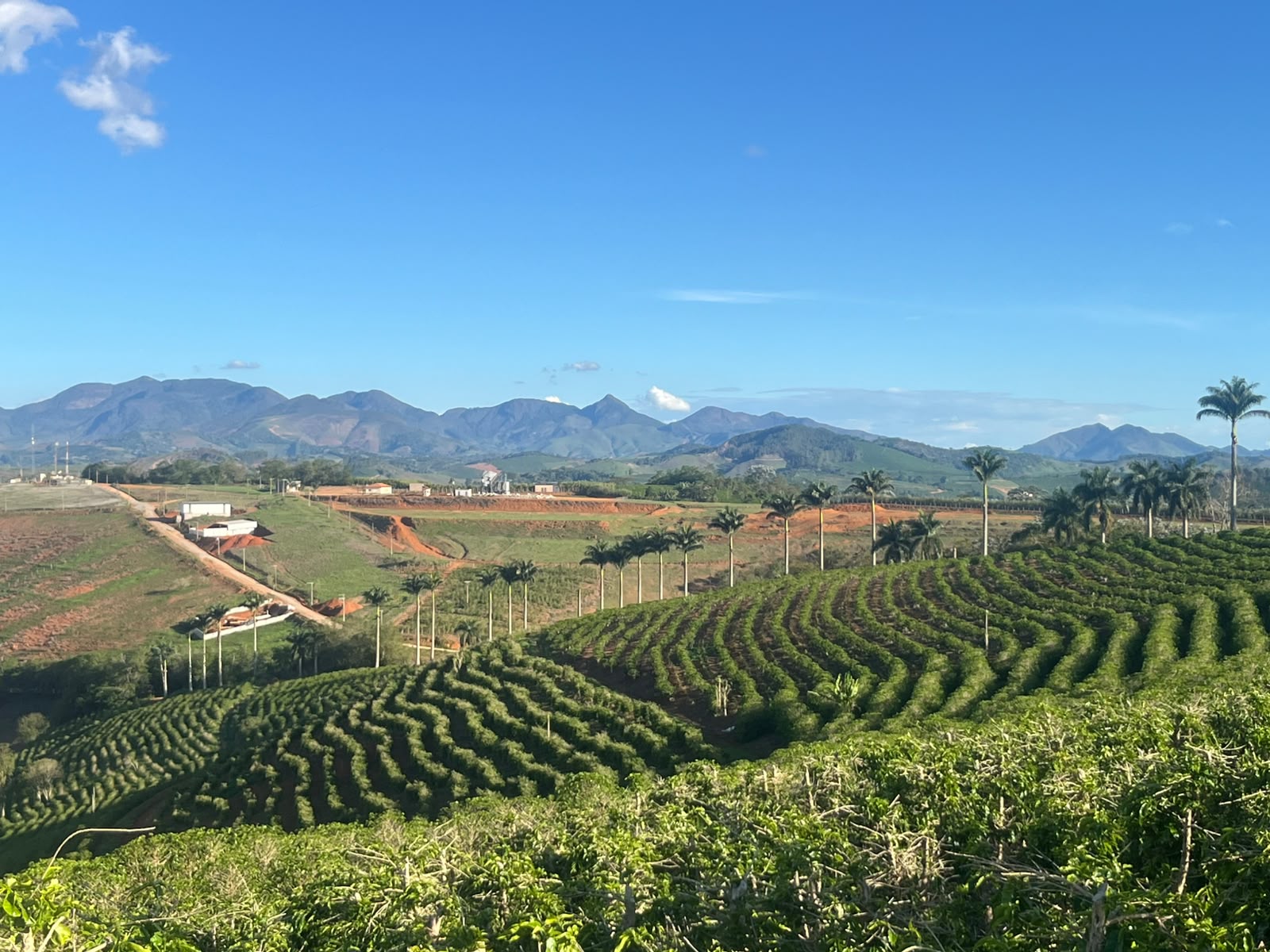 Embalagem Zakia Coffee com paisagem das montanhas de Minas Gerais ao fundo